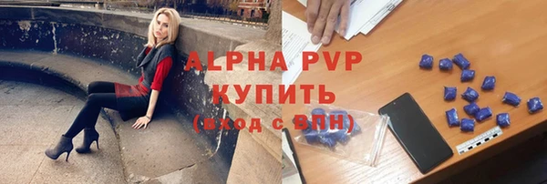 хмурый Дмитриев