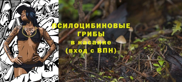 хмурый Дмитриев