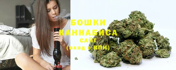 хмурый Дмитриев